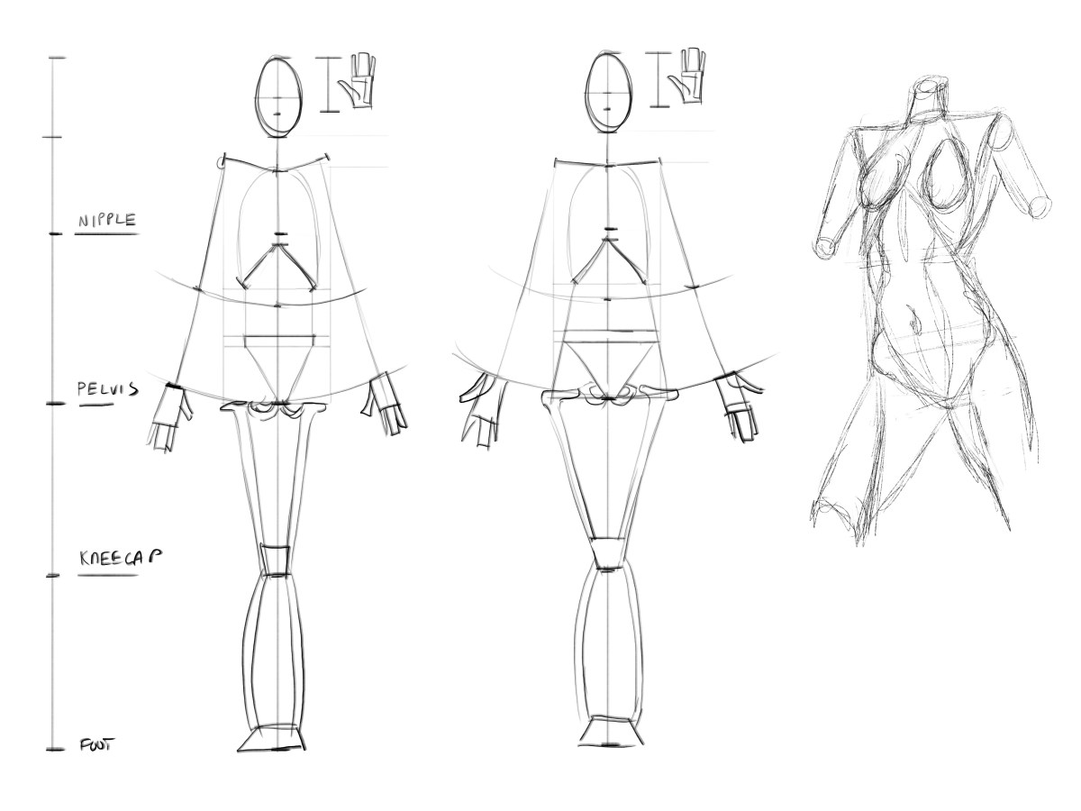 Anime Academy: Posterior View and Simple&nbsp;Proportions