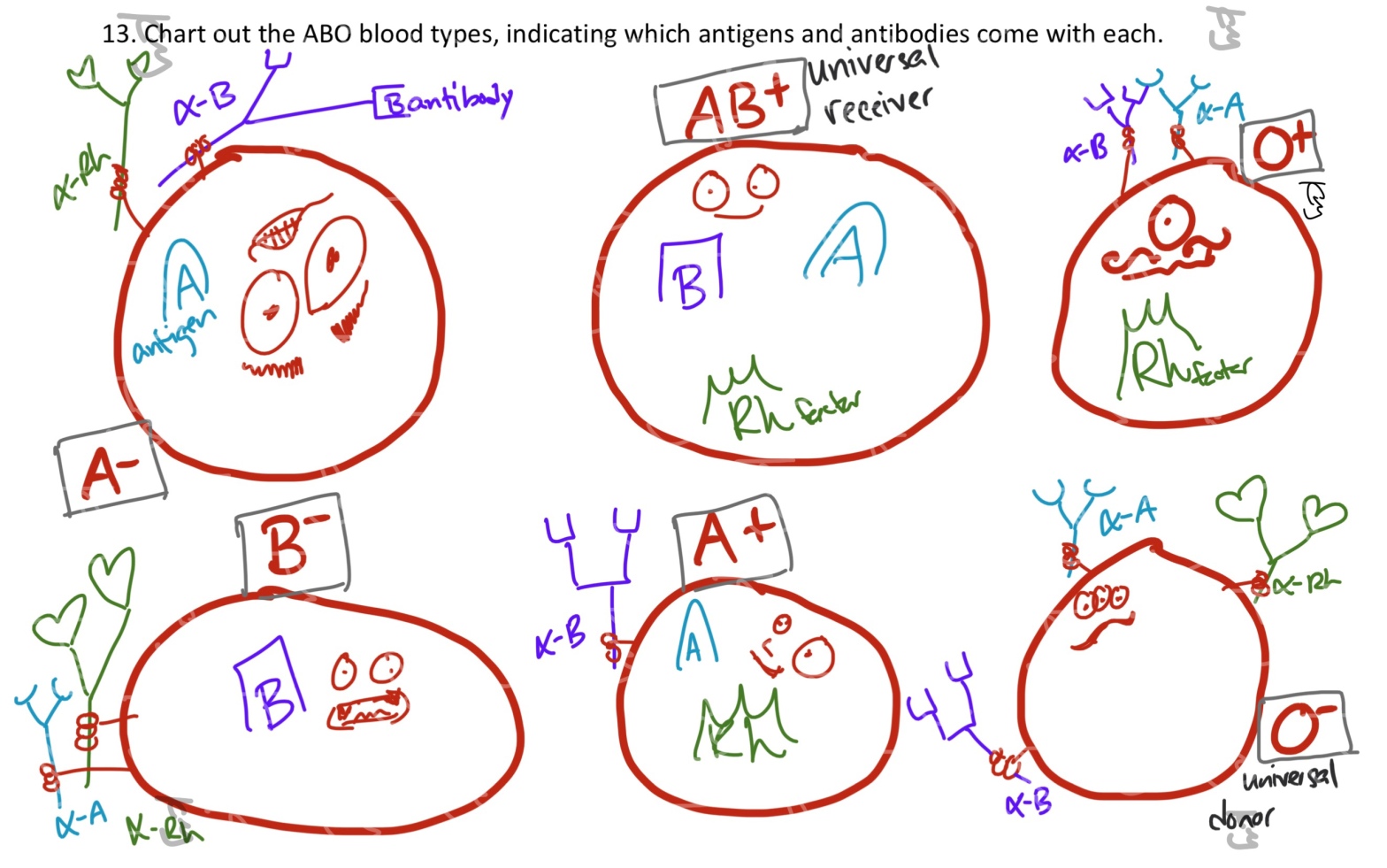 K8's humorous Line art cartoon drawing of the blood type chart showing antigens present and antibodies that could be formed